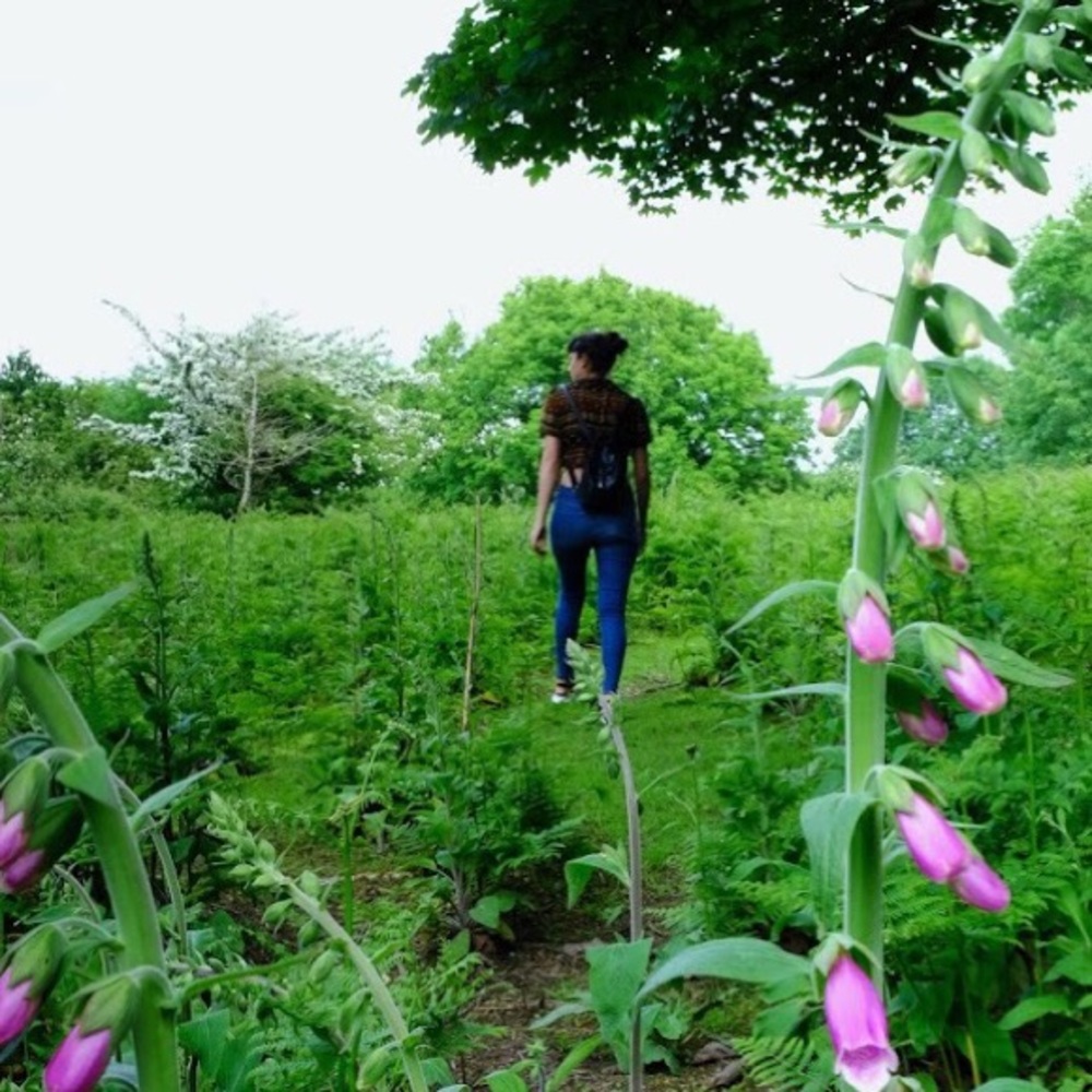 Meet your Posher, Lana